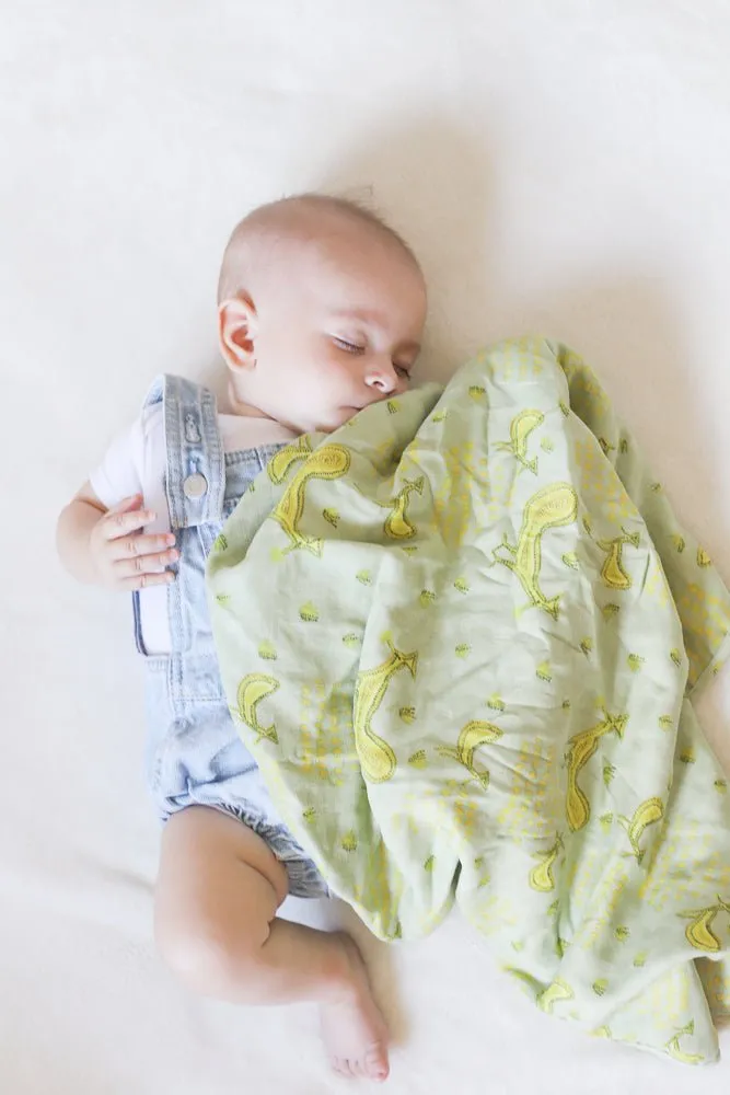 Be Cozy Blanket