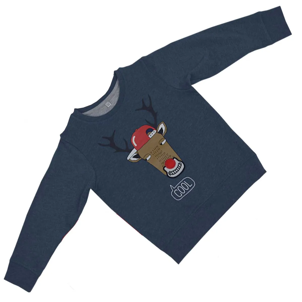 Boys Jumper Sweatshirt | Blue with Rudolph Reindeer Print | Age 1-4 Years | 1A