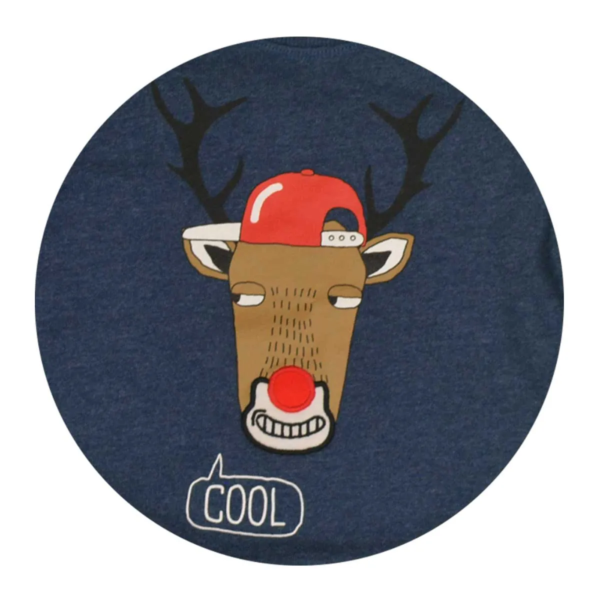 Boys Jumper Sweatshirt | Blue with Rudolph Reindeer Print | Age 1-4 Years | 1A