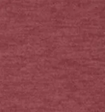 College of Charleston Freeborne Performance 1/4 Zip